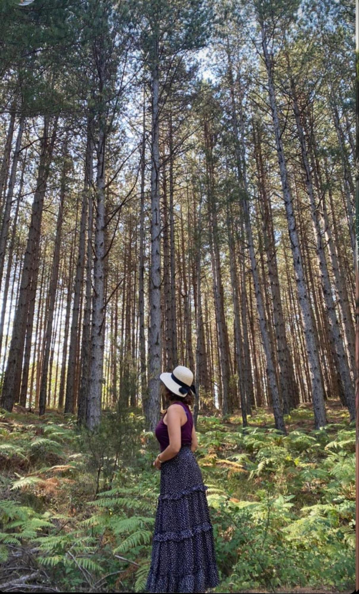 Foresta in Medias Mores Tripoli Esterno foto