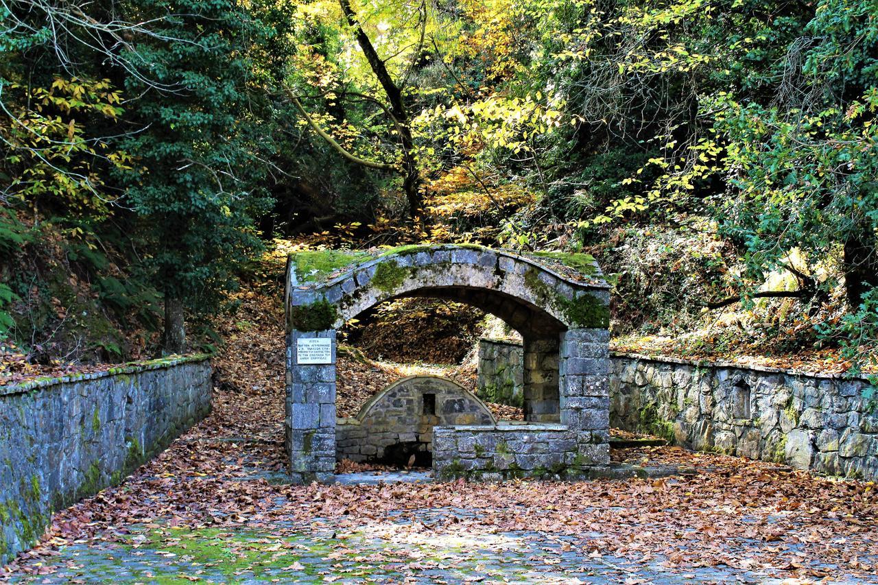 Foresta in Medias Mores Tripoli Esterno foto
