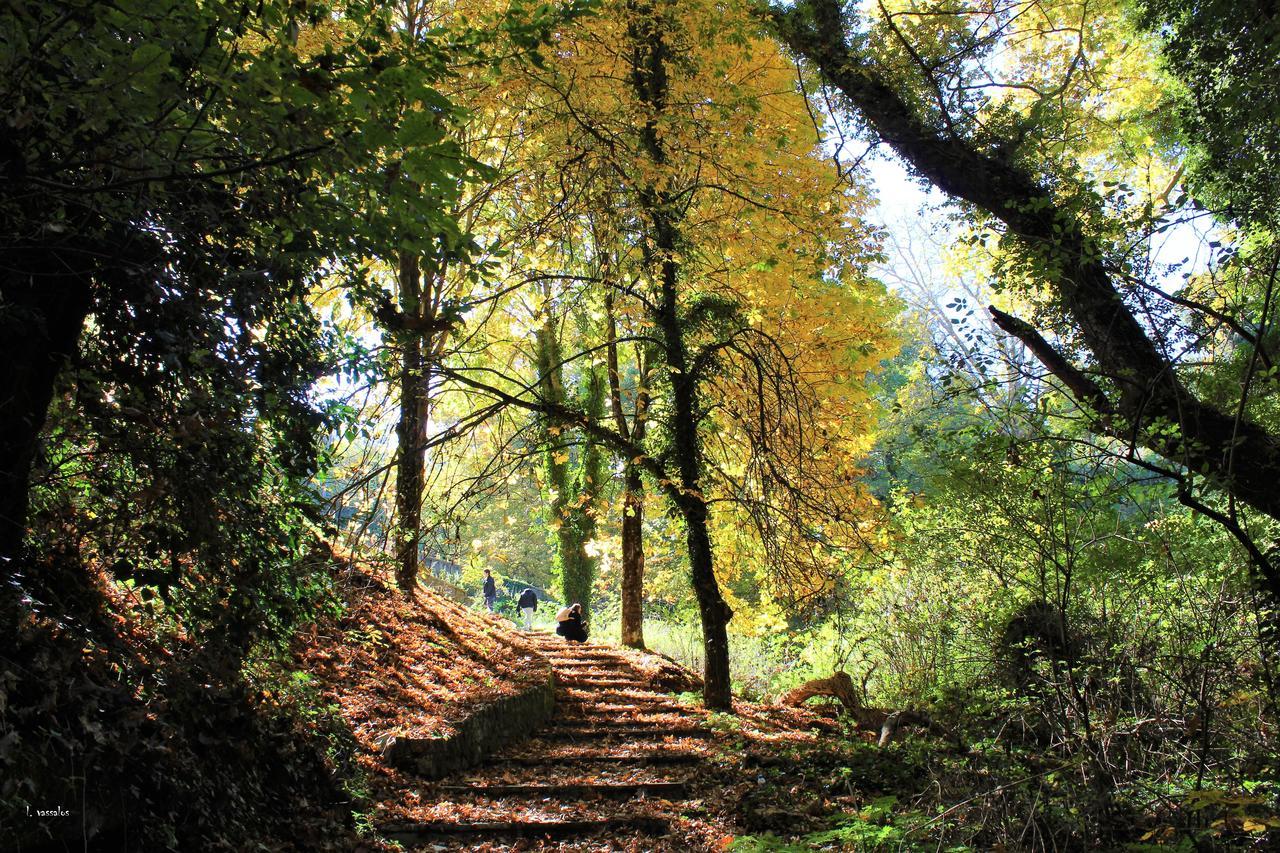Foresta in Medias Mores Tripoli Esterno foto